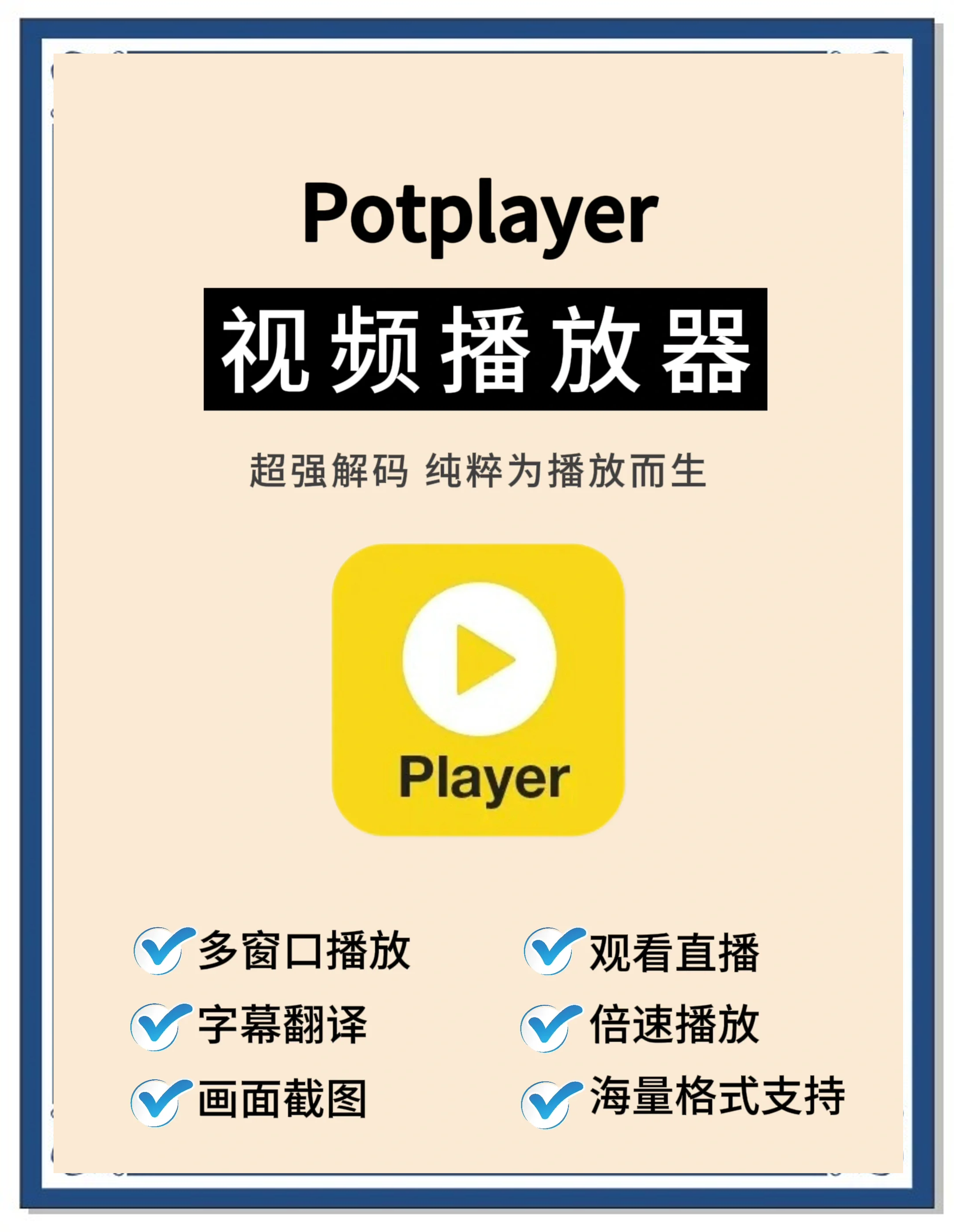 安卓版汉化bsplayerbsplayer安卓历史版本